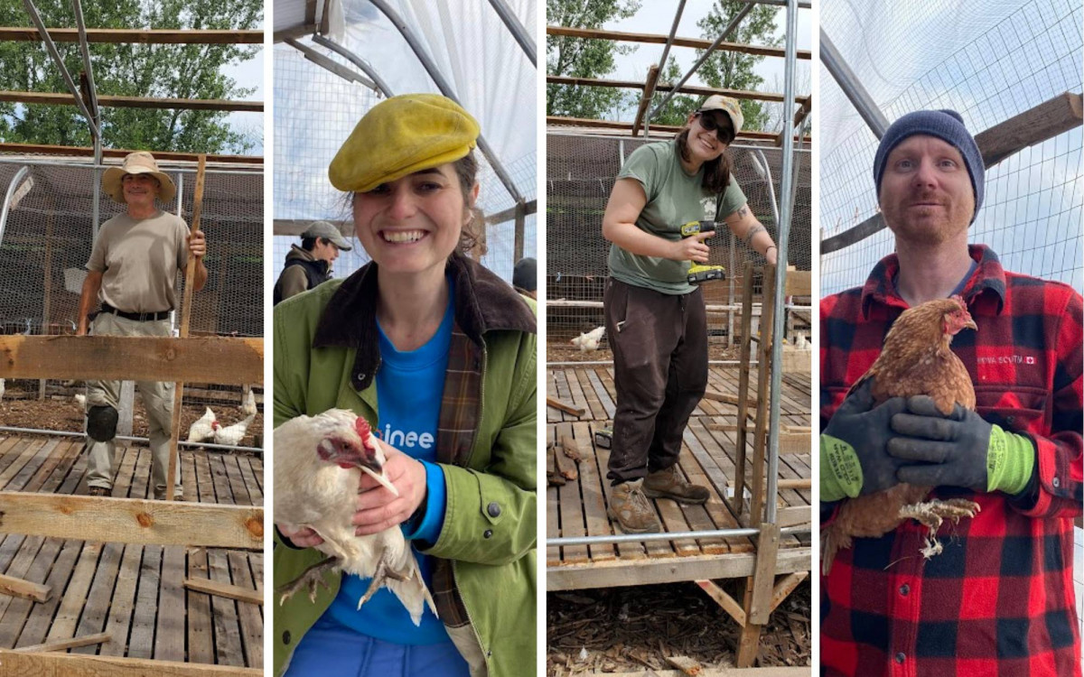 Our New Chicken Barn is Ready!