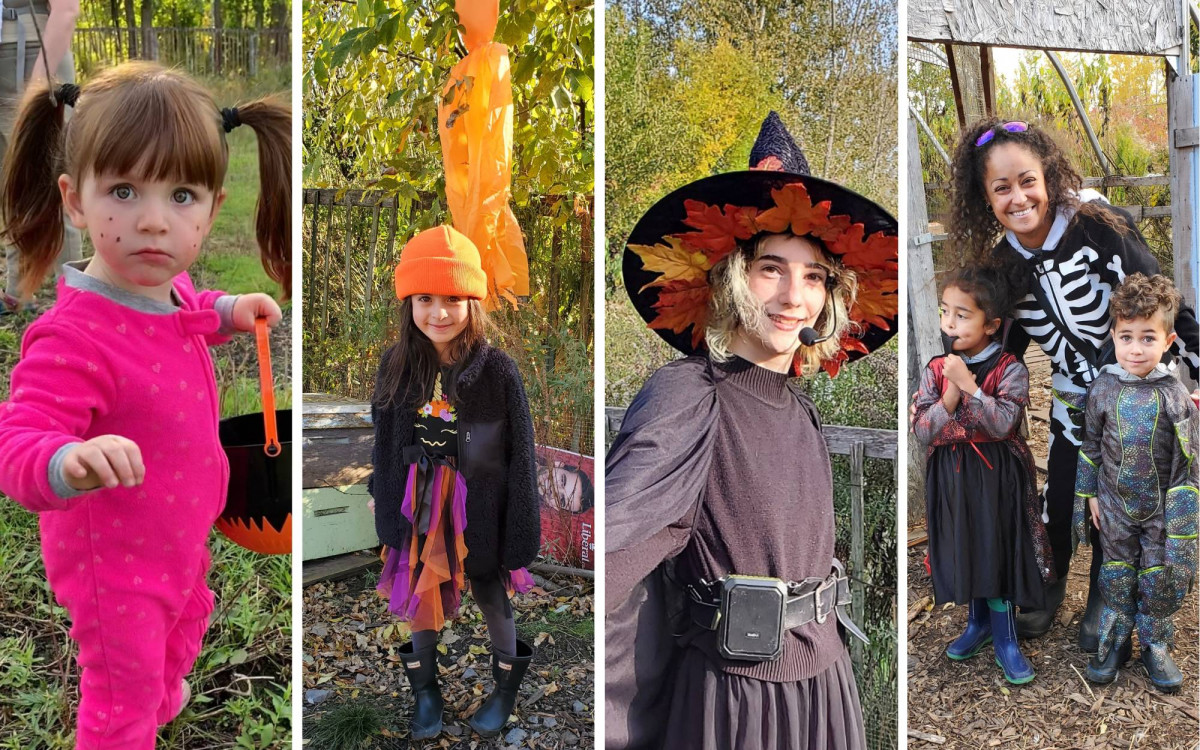 Halloween Tours