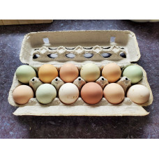 Chicken Eggs