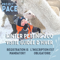Petting Zoo