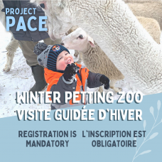 Petting Zoo